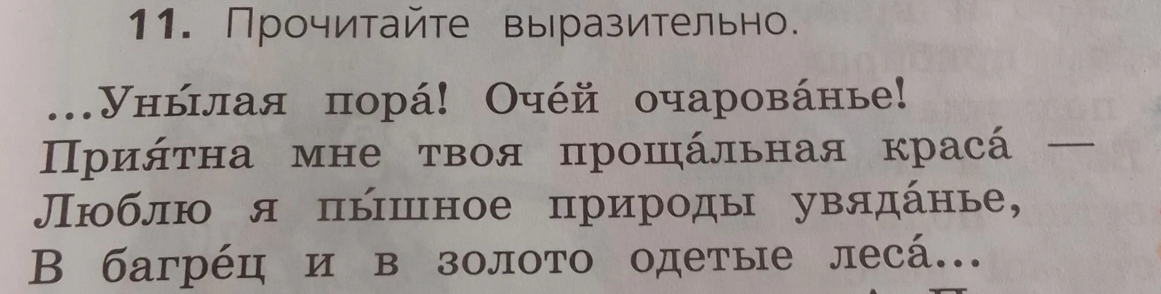 Прочитай выразительно стихотворение