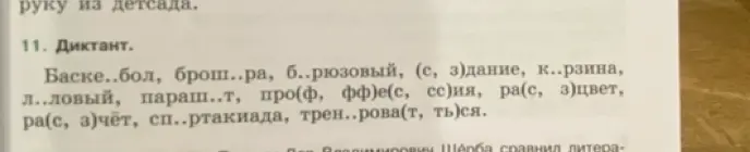 Помоги вставить пропущенные буквы в словах: Баске..бол, брош..ра, б..рюзовый, (с, з)дание, к..рзина