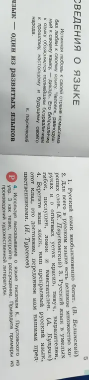 Помоги построить рассуждение, используя высказывание о языке писателя К. Паустовского из упр. 3 как тезис, и приведи примеры из произведений художественной литературы.
