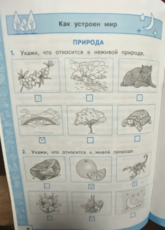 Укажи, что относится к неживой природе.