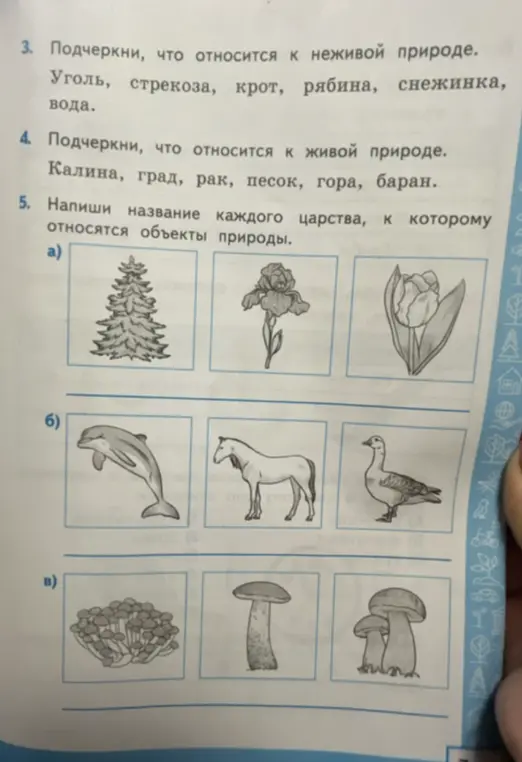 Подчеркни, что относится к неживой природе: Уголь, стрекоза, крот, рябина, снежинка, вода.