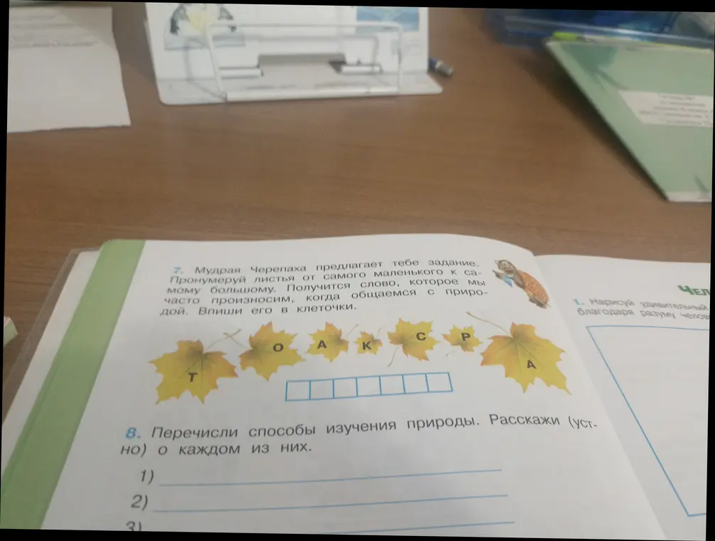 Ты просишь помочь пронумеровать листья от самого маленького к самому большому, чтобы получилось слово, которое мы часто произносим, когда общаемся с природой и перечислить способы изучения природы.