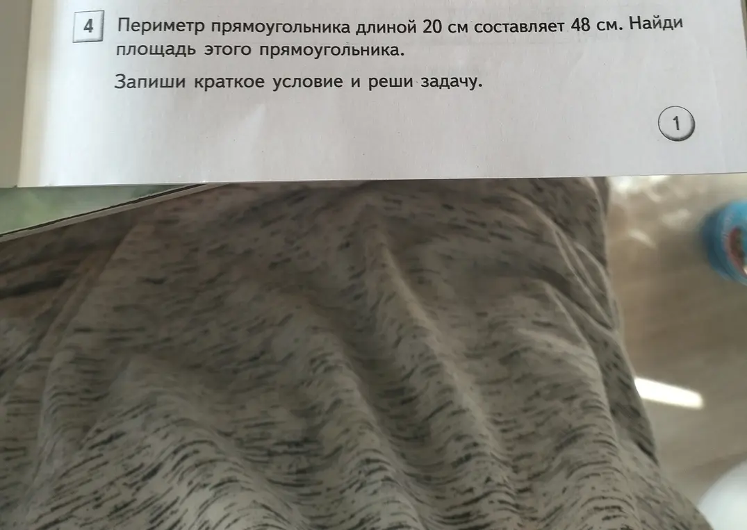 Найди площадь прямоугольника, если периметр прямоугольника длиной 20 см составляет 48 см