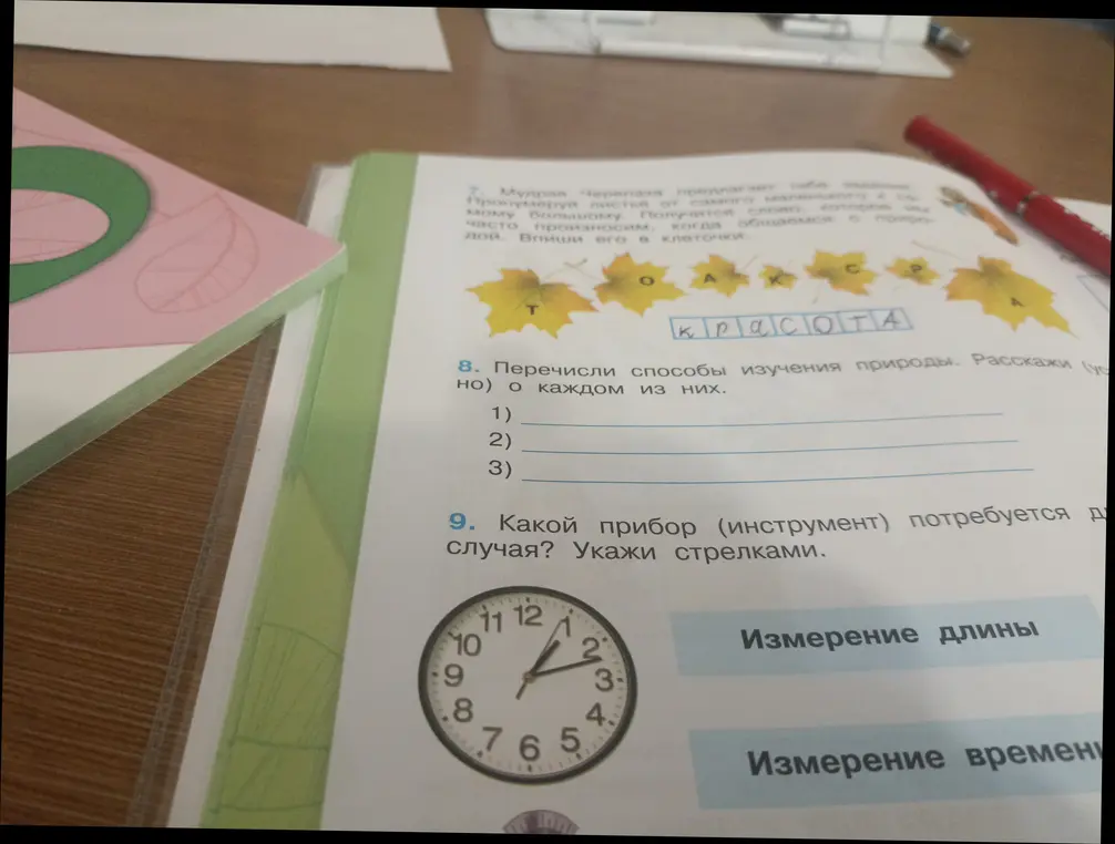 Ты можешь пронумеровать листья от самого маленького до самого большого и вписать слово в клеточки? Перечисли способы изучения природы и расскажи о каждом из них. Какой прибор потребуется для случая измерения времени?