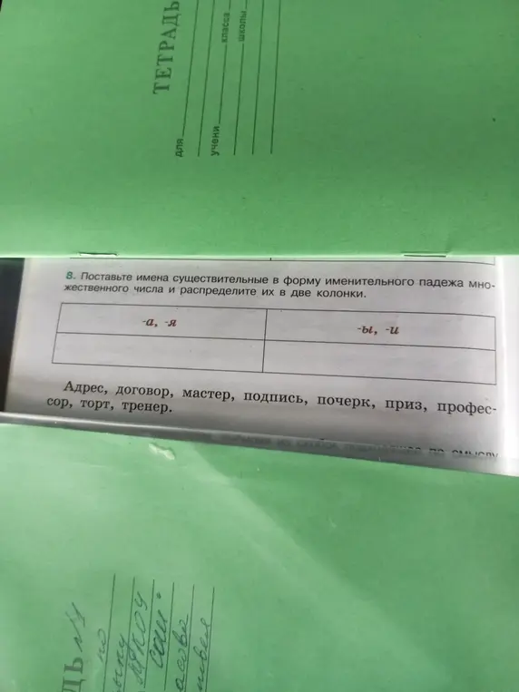 Помоги образовать множественное число существительных и распределить их в две колонки.