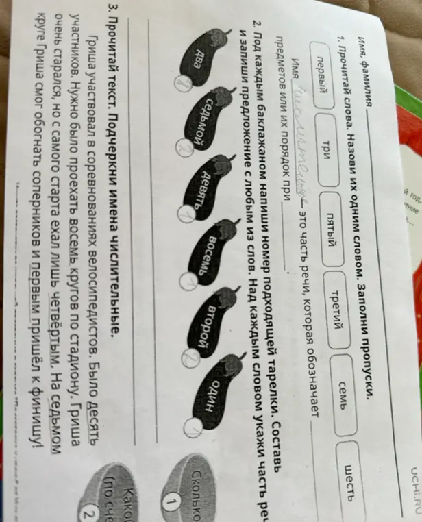 Выполни первое, второе и третье задание в упражнении: назови одним словом, под каждым баклажаном напиши номер тарелки, подчеркни имена числительные в тексте