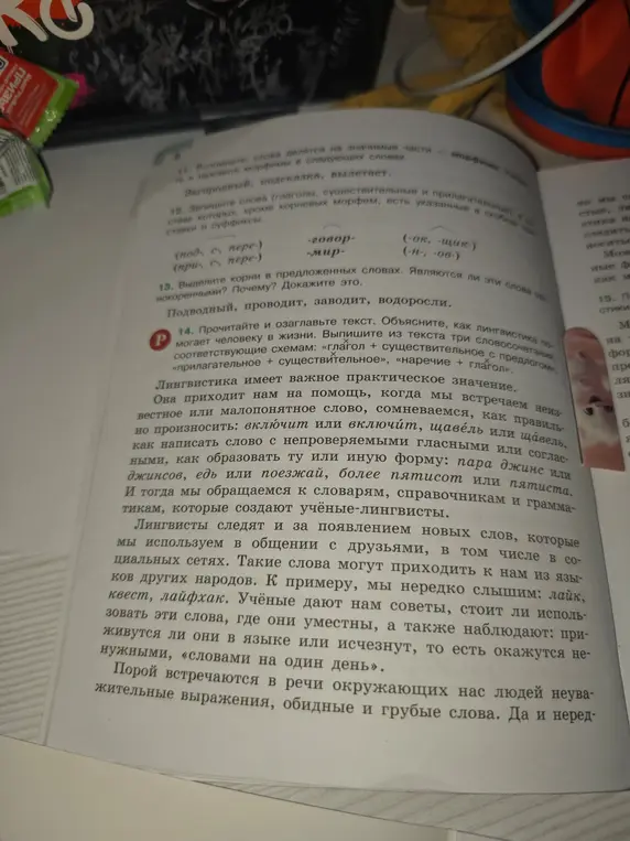 Составь план к тексту