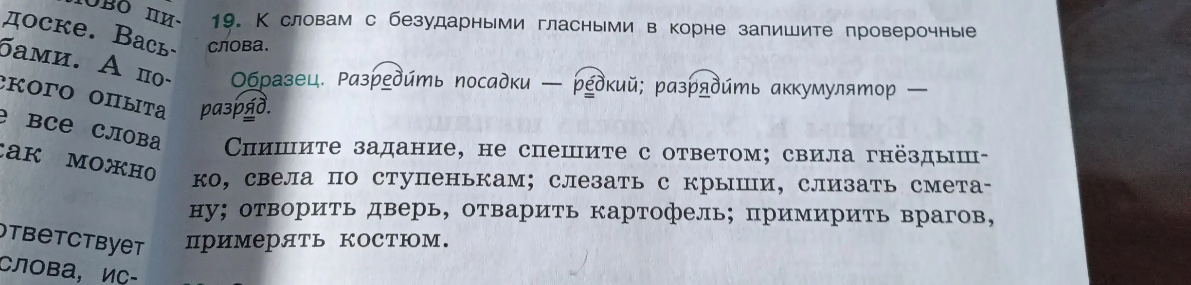 Подбери проверочные слова к словам с безударными гласными в корне в задании 19