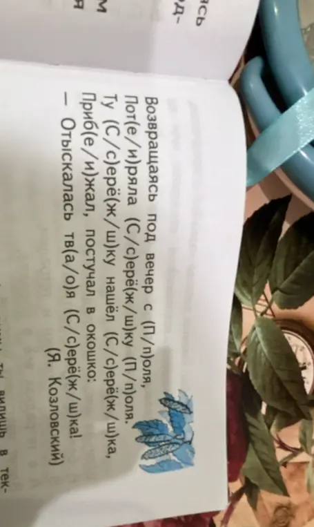 Выбери правильные буквы в словах: 'Возвращаясь под вечер с (П/п)оля, Пот(е/и)ряла (С/с)ерё(ж/ш)ку (П/п)оля.'