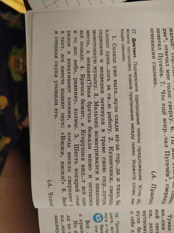 Мне нужно подчеркнуть однородные члены предложения и указать слово, имеющее омоним.