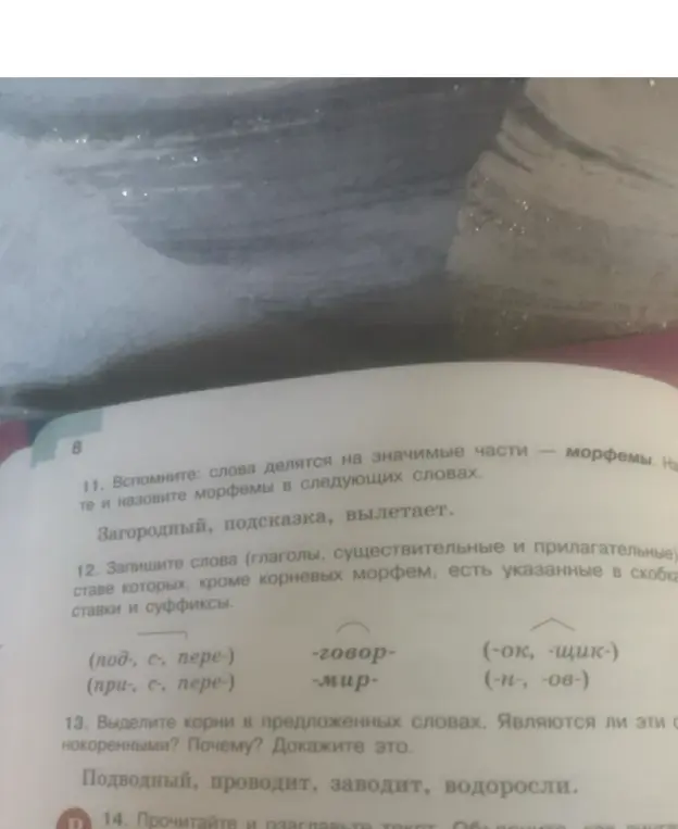 Вспомни, что слова делятся на значимые части — морфемы. Назови морфемы в словах: 'Загородный, подсказка, вылетает'.