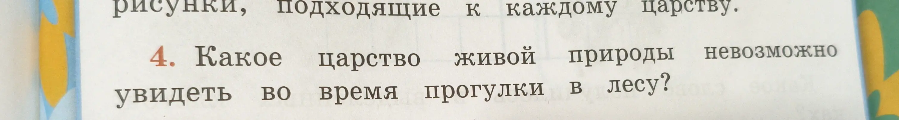 Какой тип царства живой природы невозможно увидеть во время прогулки в лесу?