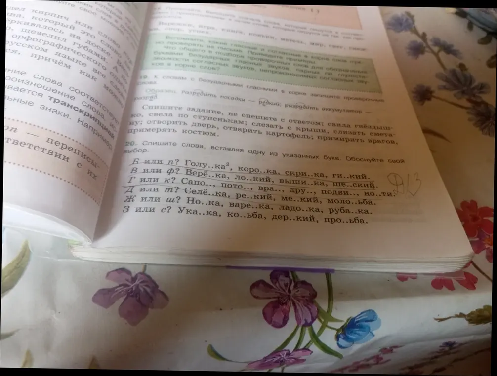 Спиши слова, вставляя одну из указанных букв: Голу..ка