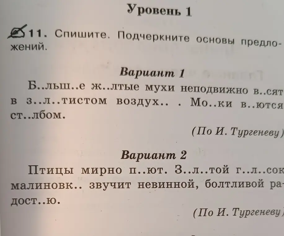 Предложи списать текст, вставить пропущенные буквы и подчеркнуть основы предложений в упражнении 11