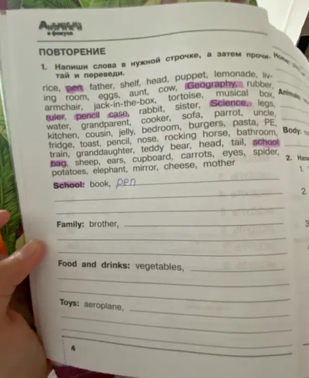 Напиши слова в нужной строчке (School, Family, Food and drinks, Toys)