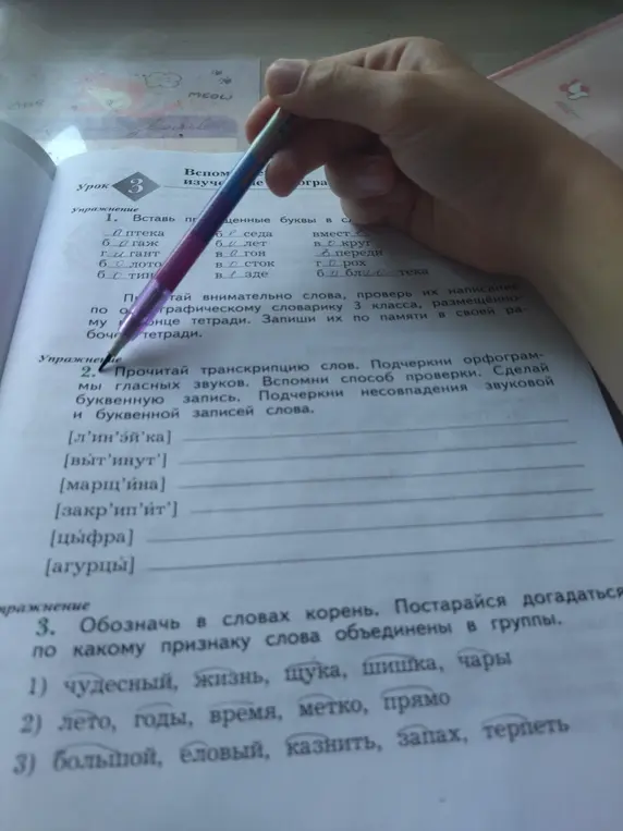Выполни упражнение: прочитай транскрипцию слов, подчеркни орфограммы гласных звуков, сделай буквенную запись, подчеркни несовпадения звуковой и буквенной записей слова; обозначь в словах корень и определи, по какому признаку слова объединены в группы