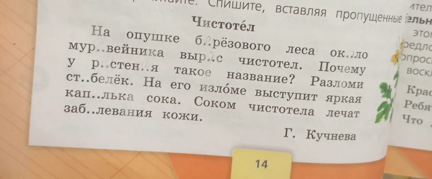 Помоги вставить пропущенные буквы в словах из текста про чистотел