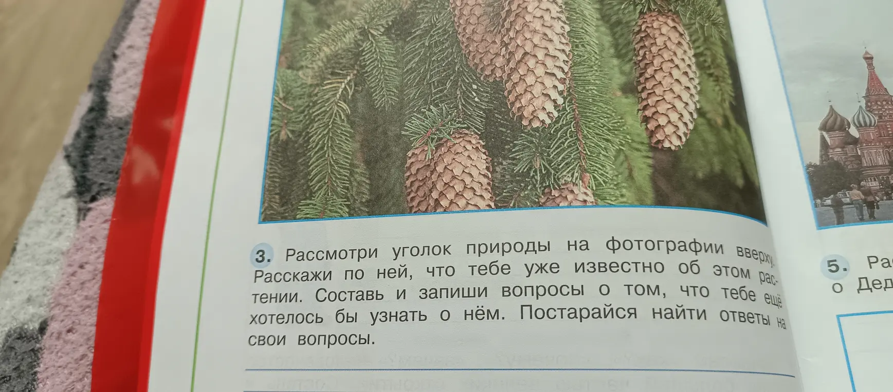 Расскажи, что тебе известно об уголке природы на фотографии и какие вопросы ты бы задал