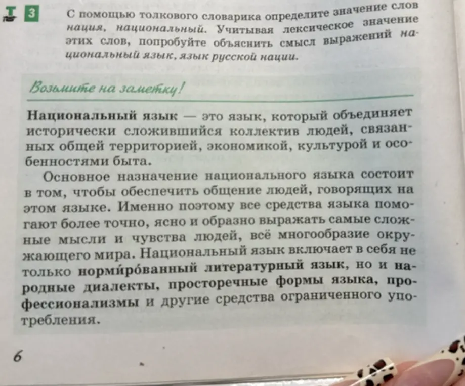 Составь схему по тексту про национальный язык.