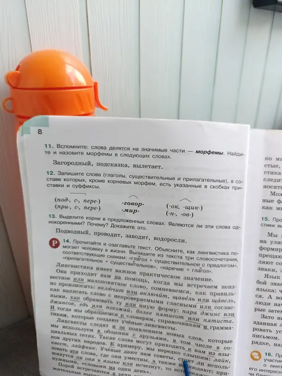 Помоги выполнить задания 11-14 по русскому языку: определи морфемы в словах, запиши слова с приставками и суффиксами, выдели корни и выпиши словосочетания