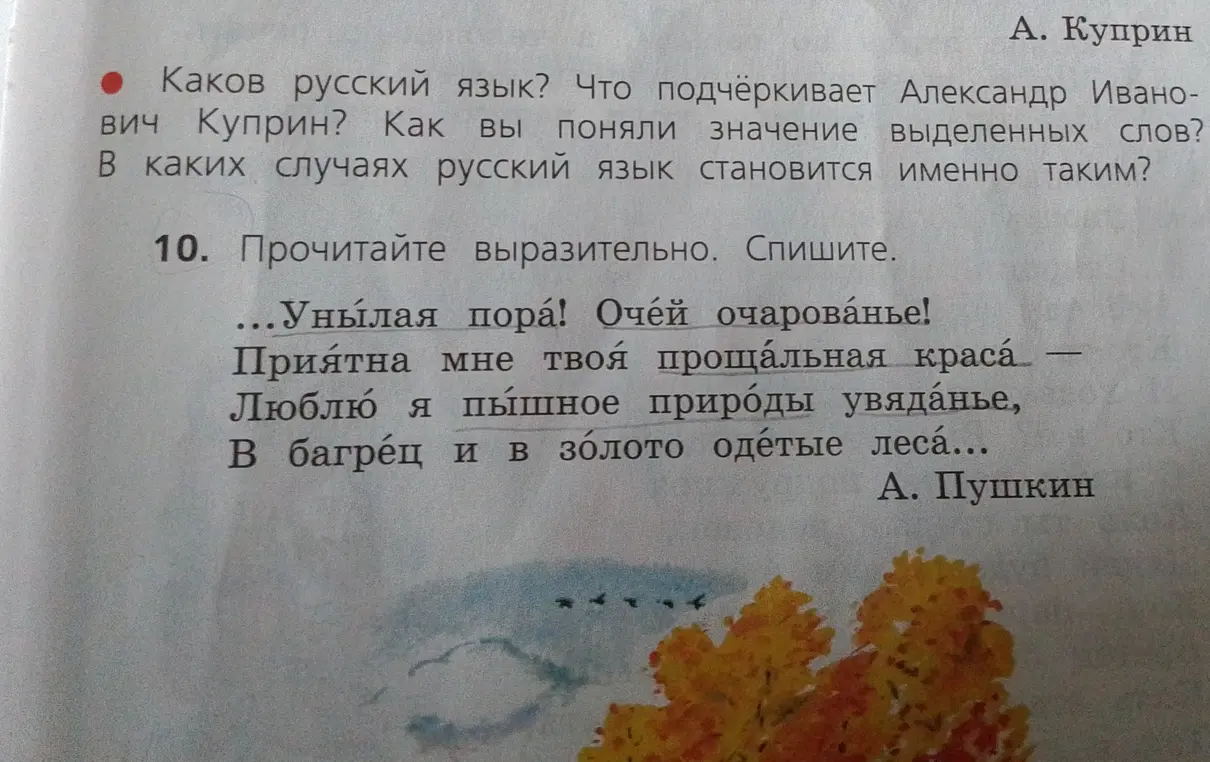 Выполни задание: прочитай выразительно и спиши стихотворение А. Пушкина 'Унылая пора! Очей очарованье!'