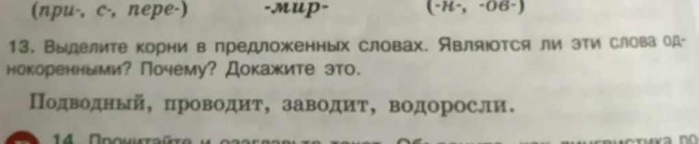Объясни, как выделить корни в словах: подводный, проводит, заводит, водоросли и являются ли они однокоренными?