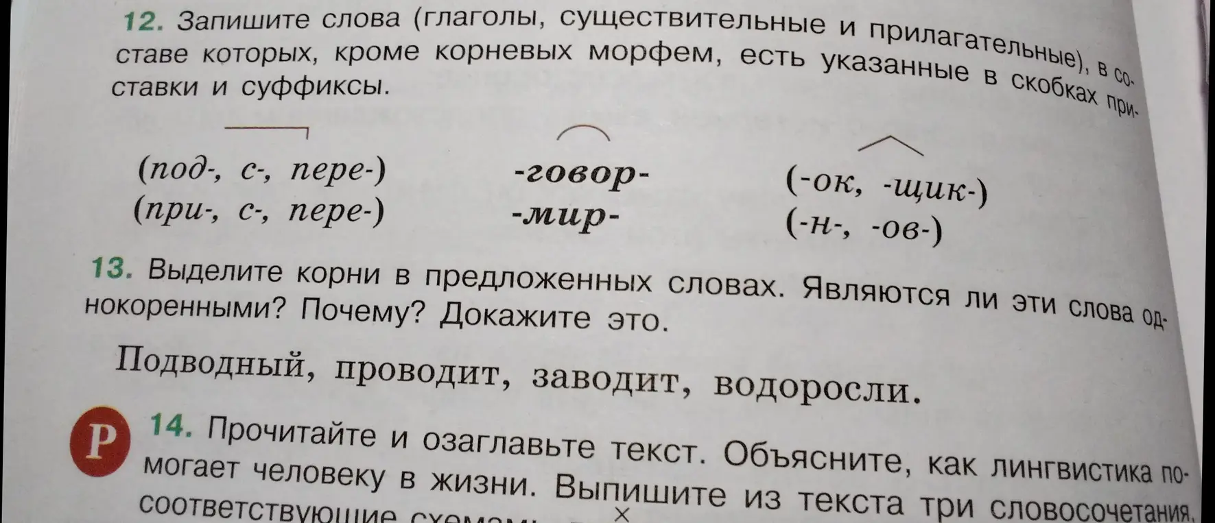 Выдели корни в предложенных словах: Подводный, проводит, заводит, водоросли. Являются ли эти слова однокоренными? Почему? Докажи это.