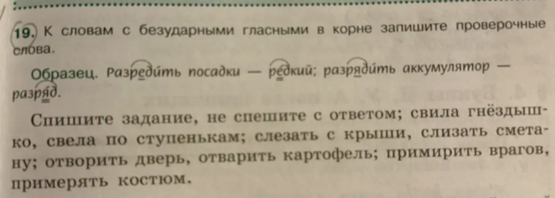 Подбери проверочные слова к словам с безударными гласными в корне в задании 19