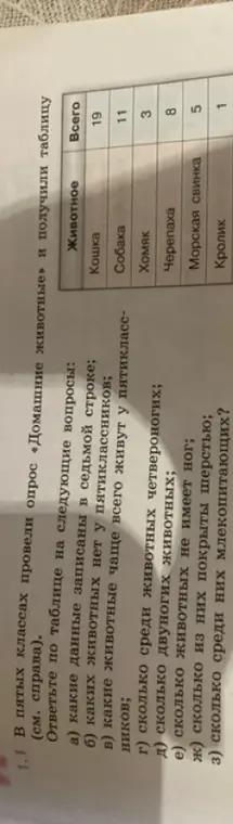 Ответь по таблице на следующие вопросы: а) какие данные записаны в седьмой строке