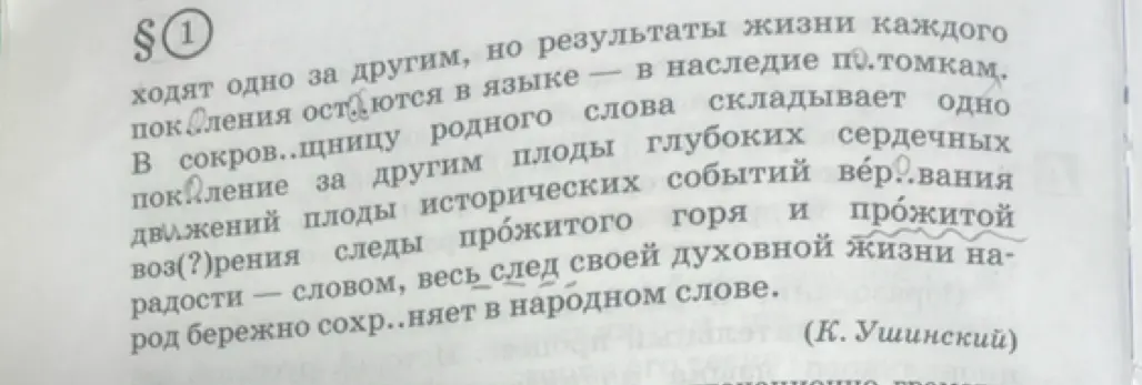 Вставь пропущенные буквы в словах из текста