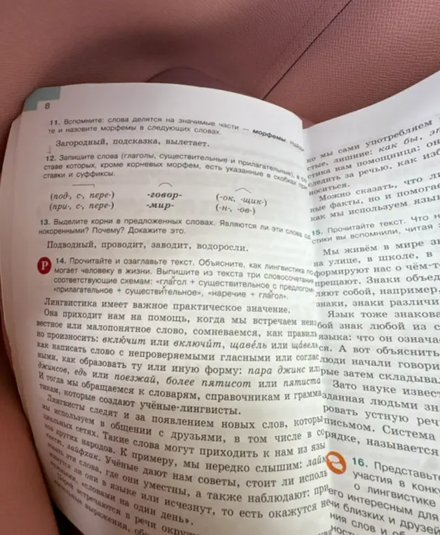Объясни, как слова делятся на значимые части и назови морфемы в словах 'загородный, подсказка, вылетает'.