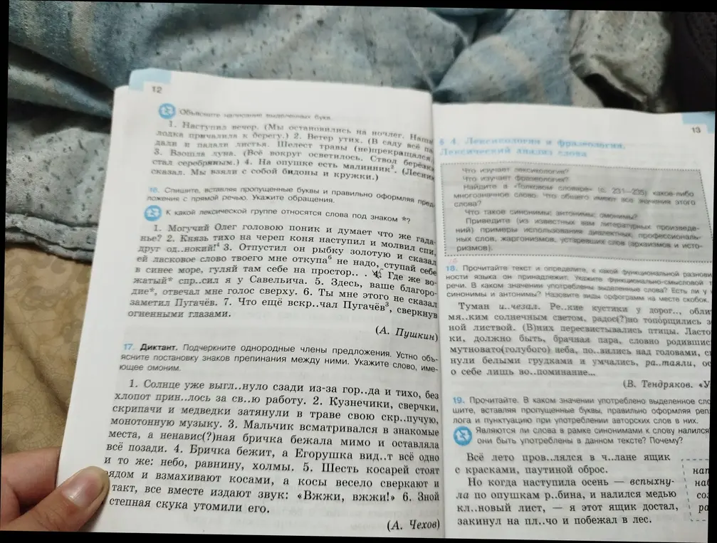 Выполни задание 17: Подчеркни однородные члены предложения. Устно объясни постановку знаков препинания между ними. Укажи слово, имеющее омоним в предложениях.