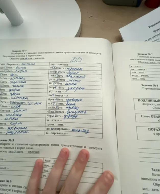 Ты просишь вставить пропущенные буквы и подобрать проверочные слова.