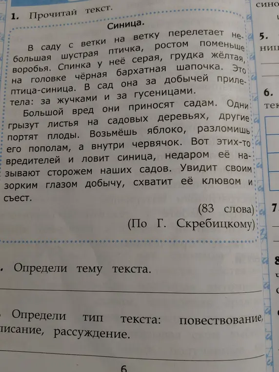 Как определить тему и тип текста про синицу?