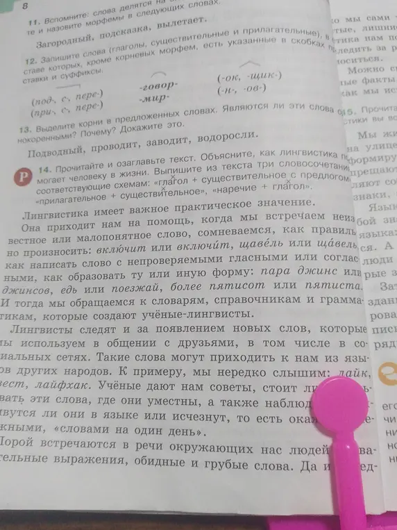 Можешь ли ты помочь мне выполнить задания 11, 12, 13, 14 по русскому языку?
