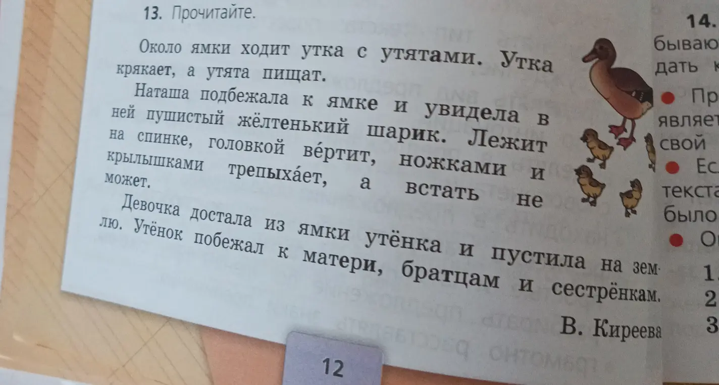 Прочитай текст