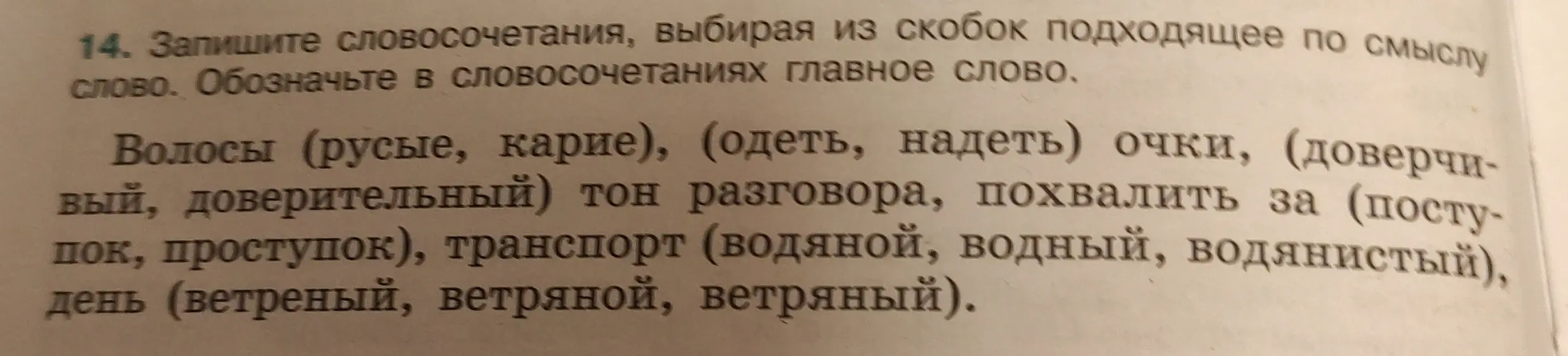 Выбери подходящее по смыслу слово и запиши словосочетания, обозначая в них главное слово: волосы (русые, карие).