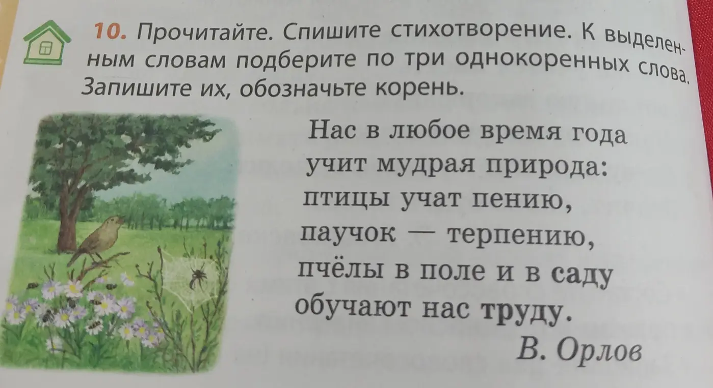 Подбери по три однокоренных слова к выделенным словам.