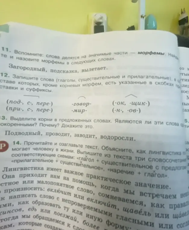 Помоги мне вспомнить, что такое морфемы, и назови морфемы в следующих словах: Загородный, подсказка, вылетает.