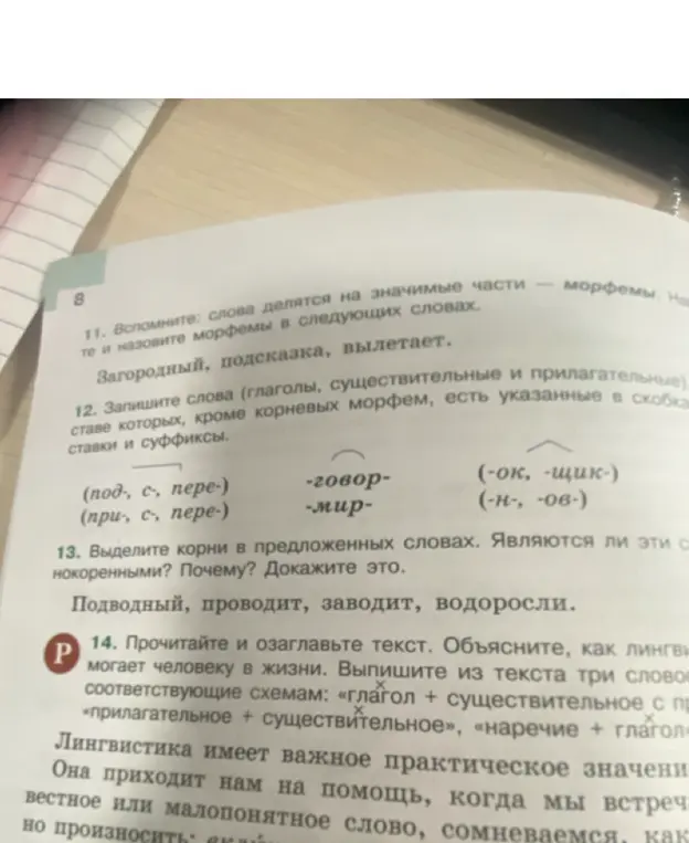 Выдели корни в словах 'Подводный, проводит, заводит, водоросли'. Являются ли эти слова однокоренными?