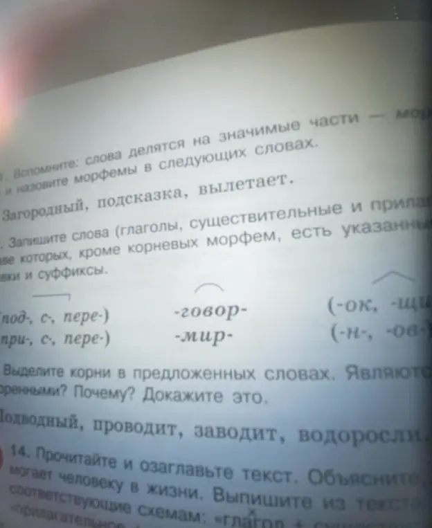 Выдели корень в словах 'Подводный, проводит, заводит, водоросли'. Являются ли корни родственными? Почему? Докажи это.
