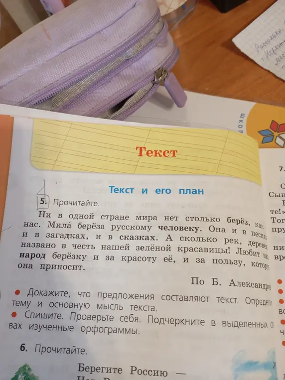 Помоги доказать, что предложения в тексте под номером 5 составляют текст, определи тему и основную мысль текста