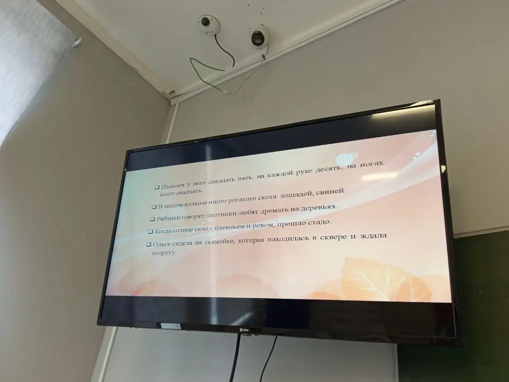 Найди ошибки в предложениях