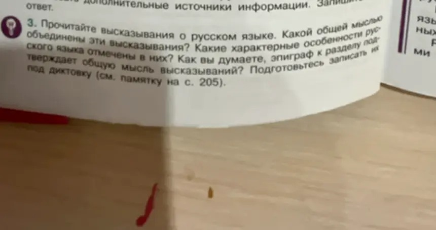 Можешь ли ты сказать, какой общей мыслью объединены высказывания о русском языке в задании 3?