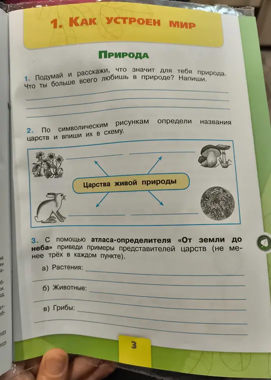 Определи названия царств и впиши их в схему. Приведи примеры представителей царств.