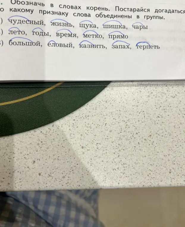 Обозначь в словах корень и определи, по какому признаку слова объединены в группы.