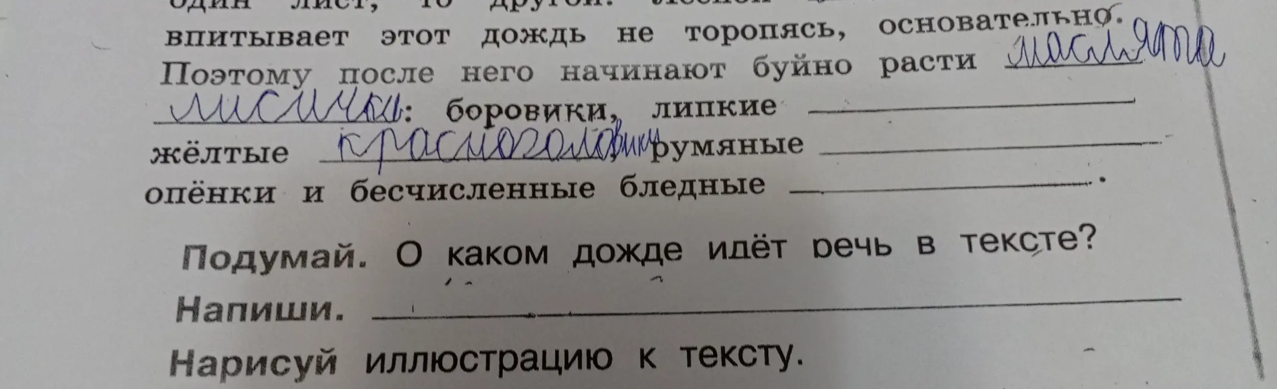 О каком дожде идёт речь в тексте?