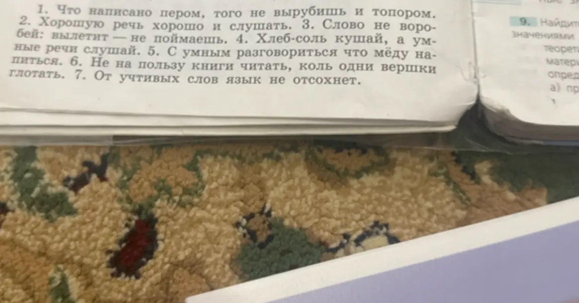 Объясни смысл русских пословиц и поговорок из текста