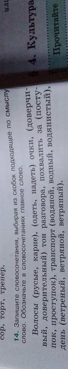 Запиши словосочетания, выбирая из скобок подходящее по смыслу слово и обозначь в словосочетаниях главное слово.