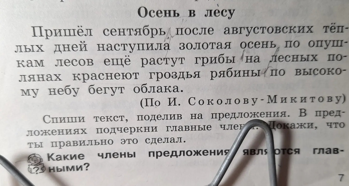 Спиши текст, поделив на предложения и подчеркни главные члены предложения. Какие члены предложения являются главными?